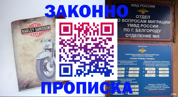 прописка для школы в Елабуге